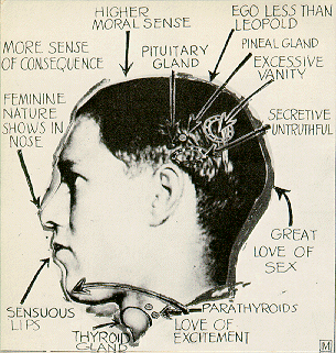 Leopold diagram